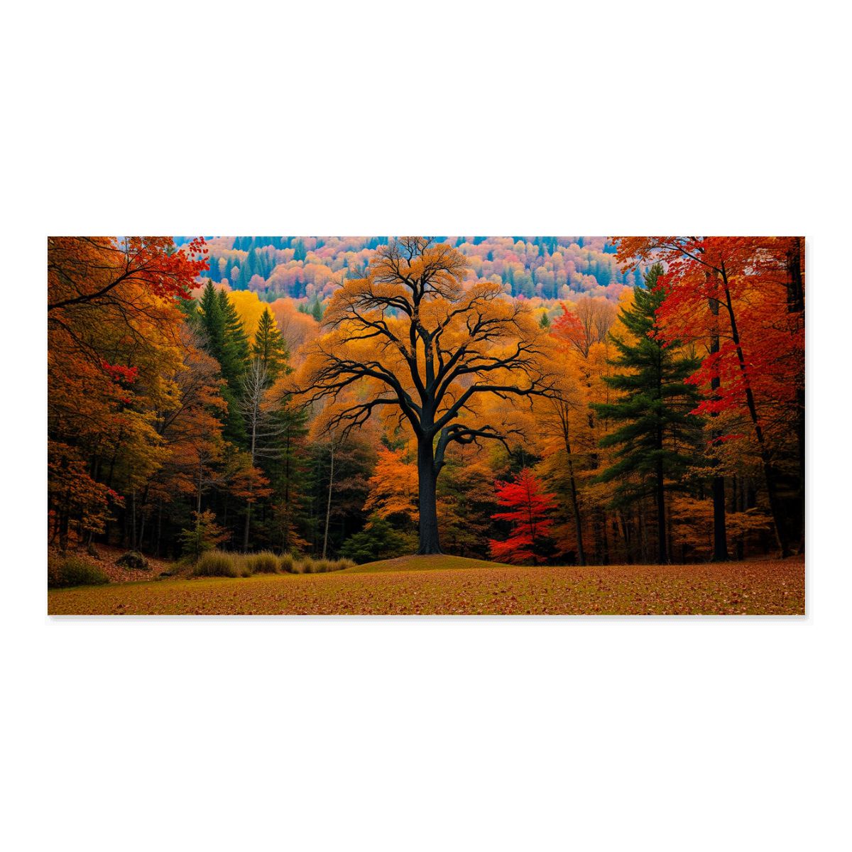 Autumn Tree Landscape Canvas Print Wall Art 60x30 Unframed Modern Home Decor