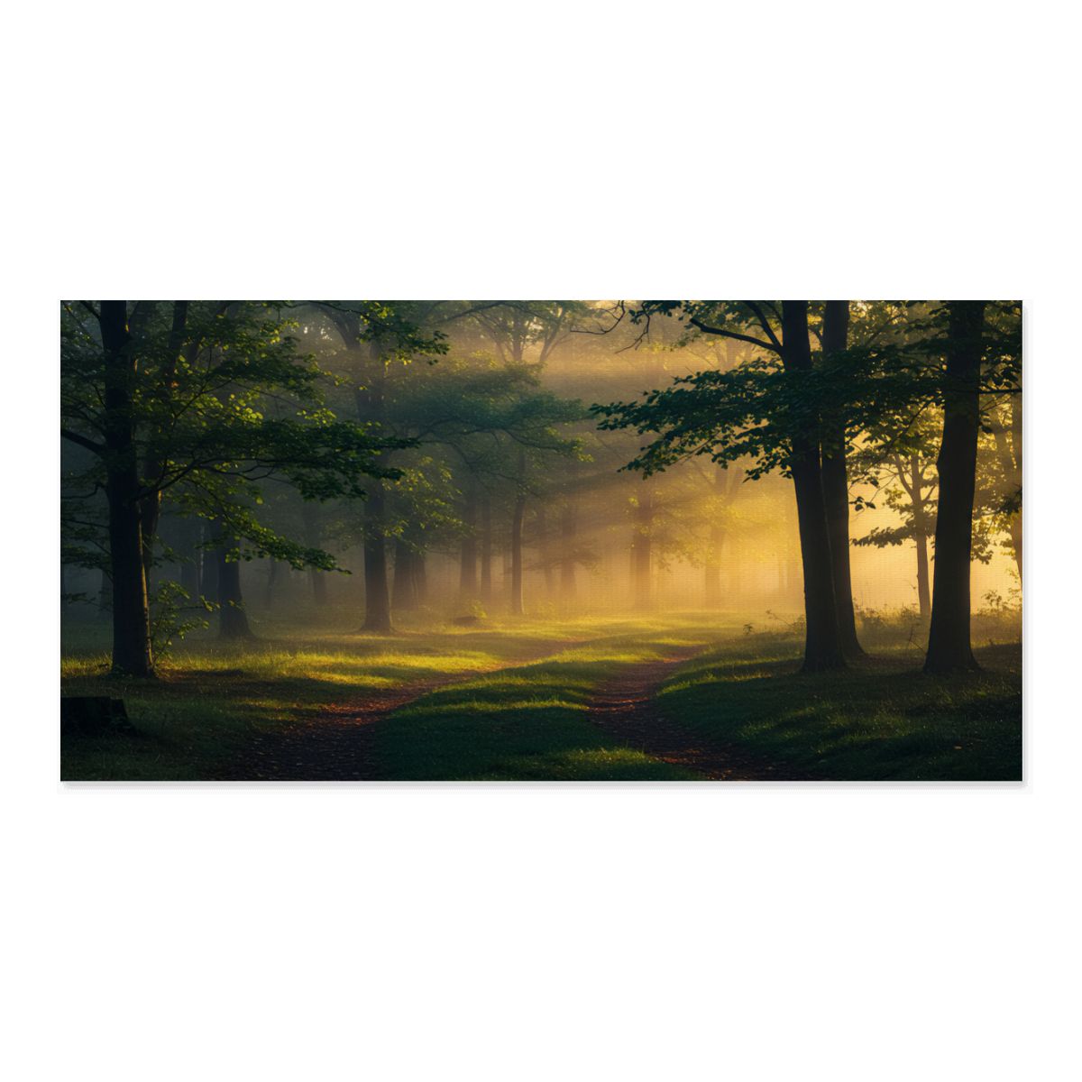 Forest Path Sunrise Canvas Print 60x30 - Misty Nature Landscape Wall Art Decor